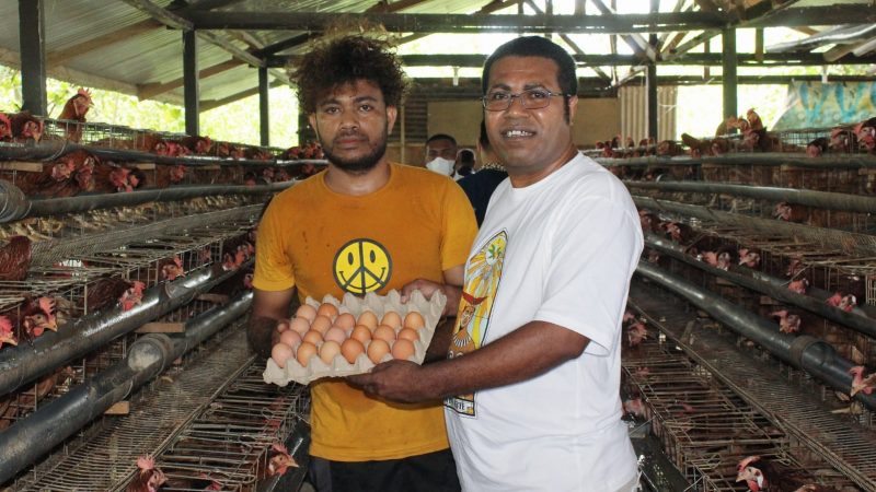 Disuasana Natal, Bupati Kunjungi Peternak Ayam Petelur OAP