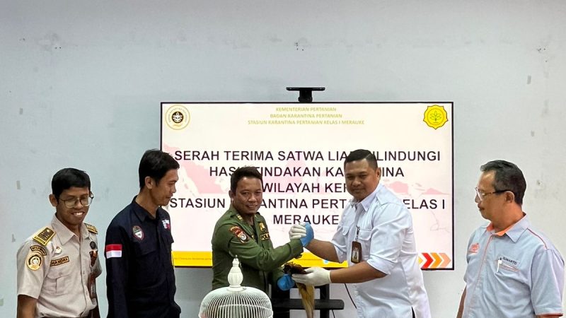 Karantina dan PT Pos Gagalkan Pengiriman Awetan Burung Cenderawasih