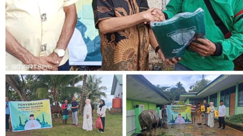 Anggota DPRP dapil II Papua  Pendukung MDF berikan bantuan 14 ekor sapi ke beberapa Mesjid di Japsel dan Japut
