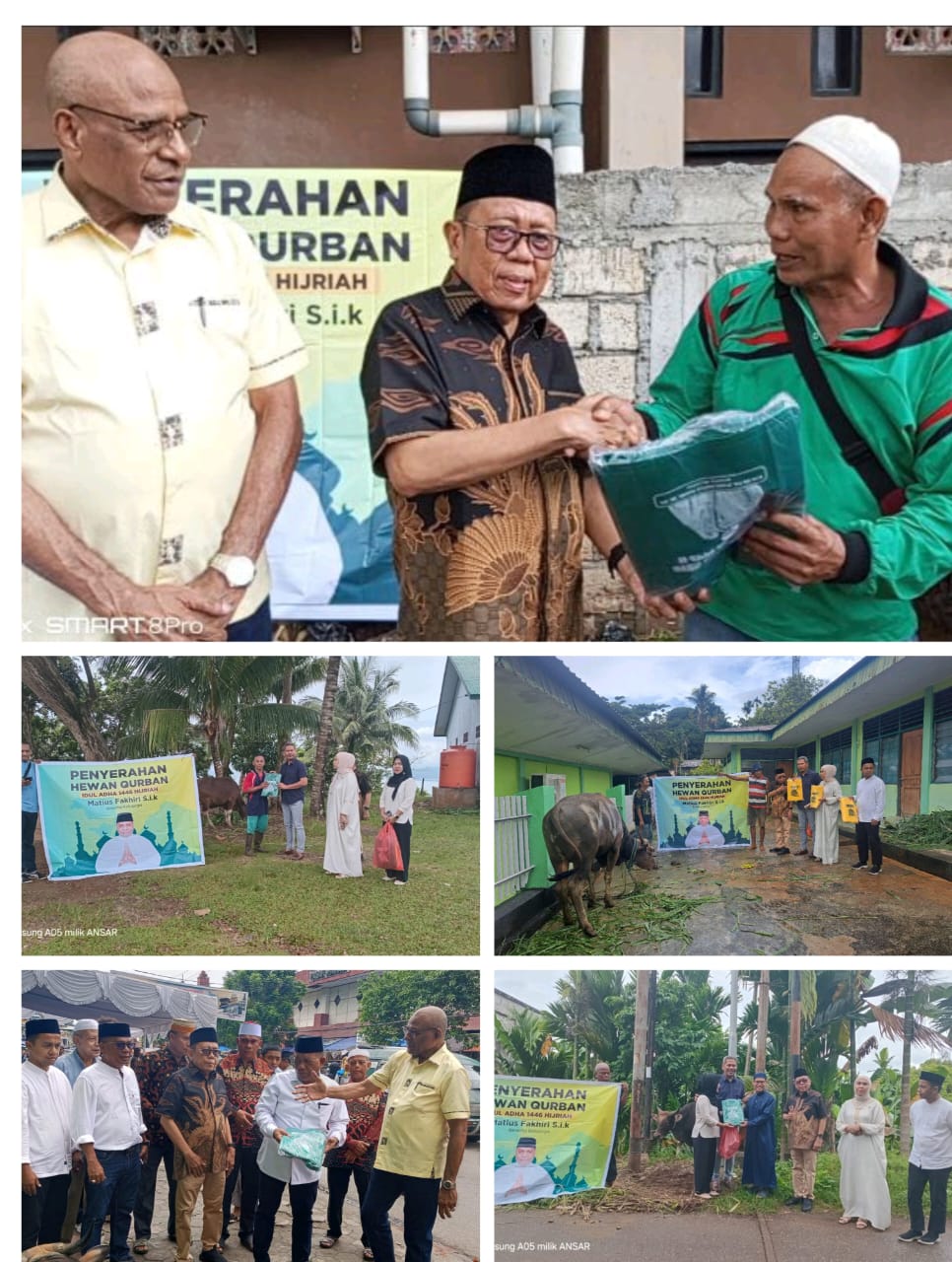 Anggota DPRP dapil II Papua Pendukung MDF berikan bantuan 14 ekor sapi ke beberapa Mesjid di Japsel dan Japut