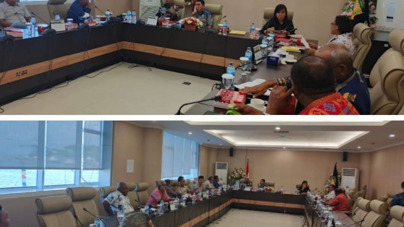 Pansus DPR Papua Minta Tiga Rumah Sakit Milik Pemerintah Tidak Ada Temuan Terulang Dari BPK RI