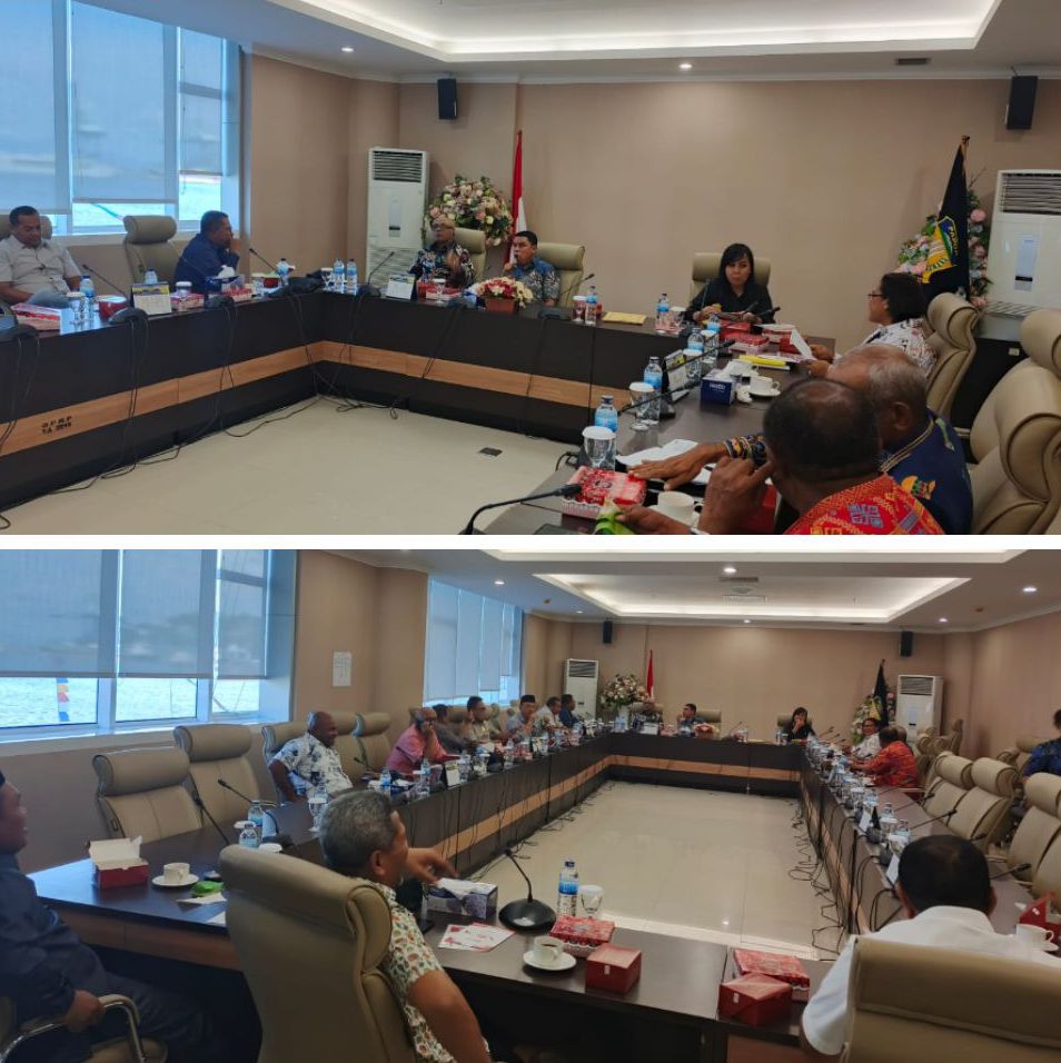 Pansus DPR Papua Minta Tiga Rumah Sakit Milik Pemerintah Tidak Ada Temuan Terulang Dari BPK RI