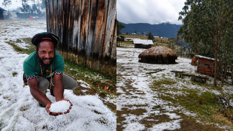 Koalisi Penegak Hukum & HAM Papua Desak Presiden Hentikan Pembongkaran Hutan Adat, PTUN Jayapura Batalkan SK Lingkungan Merauke Demi Tangkal El Nino