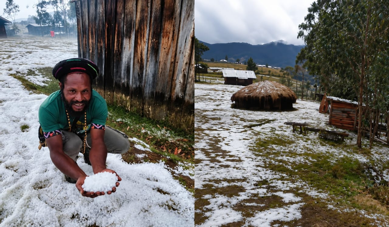 Koalisi Penegak Hukum & HAM Papua Desak Presiden Hentikan Pembongkaran Hutan Adat, PTUN Jayapura Batalkan SK Lingkungan Merauke Demi Tangkal El Nino