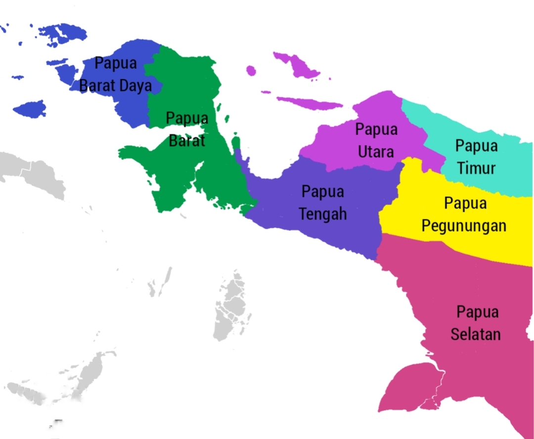 Pembentukan Papua Utara: Belajar dari Sejarah, Mengembalikan Kedaulatan Aspirasi Masyarakat